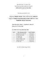 LỰA CHỌN đầu tư của cá NHÂN lựa CHỌN KINH DOANH GIỮA các NHÓM mặt HÀNG 