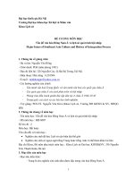 ĐỀ CƢƠNG MÔN HỌC Vấn đề văn hóa Đông Nam Á và lịch sử quá trình hội nhập