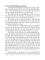 Tả cảnh đêm trăng trên quê hương em