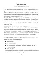 ĐỀ CƯƠNG ôn tập cơ sở phát trển bền vững 