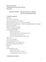 ĐỀ CƢƠNG MÔN HỌC Thời đại kim khí ở lƣu vực sông Hồng