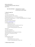 ĐỀ CƢƠNG MÔN HỌC Thời đại kim khí ở Trung Bộ