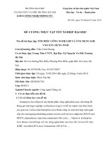 Đề cương tìm HIỂU CÔNG NGHỆ EJB và ỨNG DỤNG EJB vào xây DỰNG WEB 