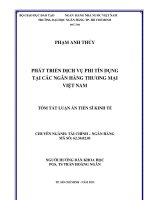 Tóm tắt luận án tiến sĩ kinh tế phát triển dịch vụ phi tín dụng tại các ngân hàng thương mại việt nam