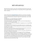 Tiểu luận biến đổi khí hậu 