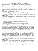 Đề cương môn cơ sở môi trường 