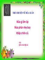 tro chuyen ve mua xuan