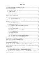 nghiên cứu sự phân hủy của polyme blend trên cơ sở PLA tinh bột  trong các môi trường khác nhau 