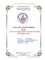 QUẢN LÝ HOẠT ĐỘNG TỔ CHUYÊN MÔN  Ở TRƯỜNG THCS
