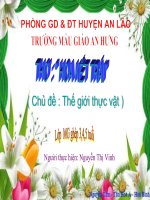 Thơ: Hoa kết trái