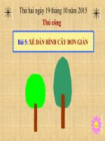 Bài 5. Xé, dán hình cây đơn giản