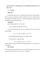 NGUYÊN NHÂN VÀ ẢNH HƯỞNG CỦA Ô NHIỄM MÔI TRƯỜNG ĐẤT Ở VIỆT NAM