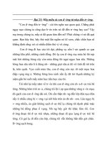 Miêu tả con đường từ nhà đến trường