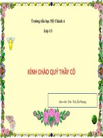 Tuần 3. Hoa ngọc lan