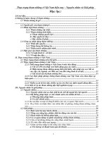 Thực trạng tham nhũng ở Việt Nam hiện nay – nguyên nhân và giải pháp