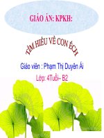 Giaó án bài làm quen với con ếch