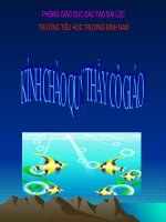 Tuần 16. Thời gian biểu