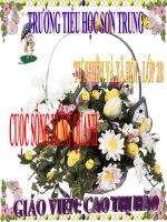 Bài 21. Cuộc sống xung quanh