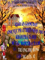 Khám phá xã hội