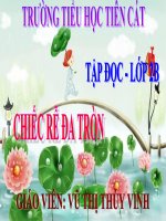Tuần 31. Chiếc rễ đa tròn