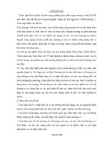 Báo cáo tìm hiểu thiên nhiên tại khu vực núi rùng rình, tam đảo, vườn quốc gia tam đảo, tháp truyền hình tam đảo 