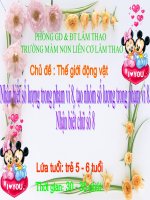 Nhận biết chữ số 8