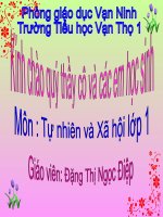 Bài 29. Nhận biết cây cối và con vật