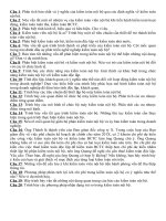 Đề cương môn Kiểm toán nội bộ