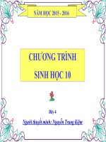 SỊNH 10 BÀI 18 CHU KỲ TẾ BÀO VÀ QUÁ TRÌNH NGUYÊN PHÂN
