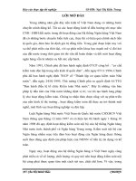 Tìm hiểu về tổ chức công tác kiểm toán nội bộ của ngân hàng phát triển việt nam chi nhánh thanh hóa 