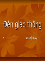 den giao thong