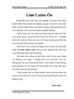 Thực trạng và giải pháp phát triển nguồn nhân lực trẻ cho CNH, hđh nông nghiệp nông thôn ở thành phố huế hiện nay 