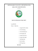 Báo cáo THAM QUAN NHẬN THỨC tại NHÀ máy xử lí nươc THẢI KHU CÔNG NGHIỆP KHAI QUANG