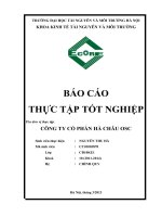 tình hình tổ chức kế toán tại công ty cổ phần hà châu OSC