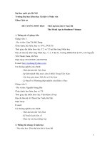 ĐỀ CƢƠNG MÔN HỌC Thời đại kim khí ở Nam Bộ