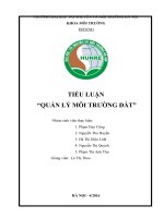 Tiểu luận QUẢN lý môi TRƯỜNG đất 