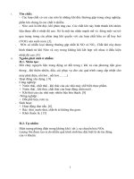 Tiểu luận độc học phát sinh từ các nguồn ô nhiễm 