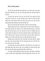 Em hãy miêu tả cây đào ngày tết