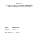 ẢNH HƯỞNG của ô NHIỄM CHÌ tại LÀNG NGHỀ tái CHẾ CHÌ THÔNG ĐÔNG MAI, xã CHỈ đạo, HUYỆN văn lâm, TỈNH HƯNG yên