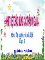 Bài 23. Ôn tập: Xã hội