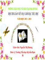 Bài 20. An toàn khi đi các phương tiện giao thông