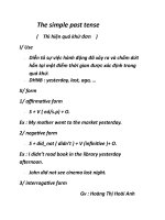 The simple past tense