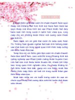 Phát triển sắn theo hướng sản xuất hàng hóa trên địa bàn huyện cam lộ, tỉnh quảng trị 