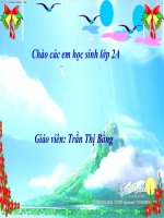 Tuần 25. Bé nhìn biển