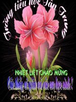 Bài 28. Một số loài vật sống trên cạn