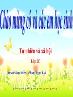 Bài 29. Một số loài vật sống dưới nước