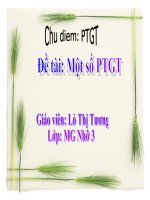 tim hieu ve mot so PTGT
