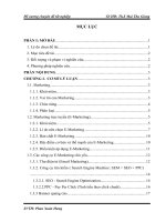 Nghiên cứu đề xuất giải pháp thúc đẩy hoạt động e marketing cho công ty TNHH máy tính phong vũ 