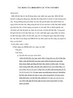 Tiểu luận tác ĐỘNG của biến đổi khí hậu đến các VÙNG VEN BIỂN 