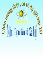 Bài 9. Hoạt động và nghỉ ngơi